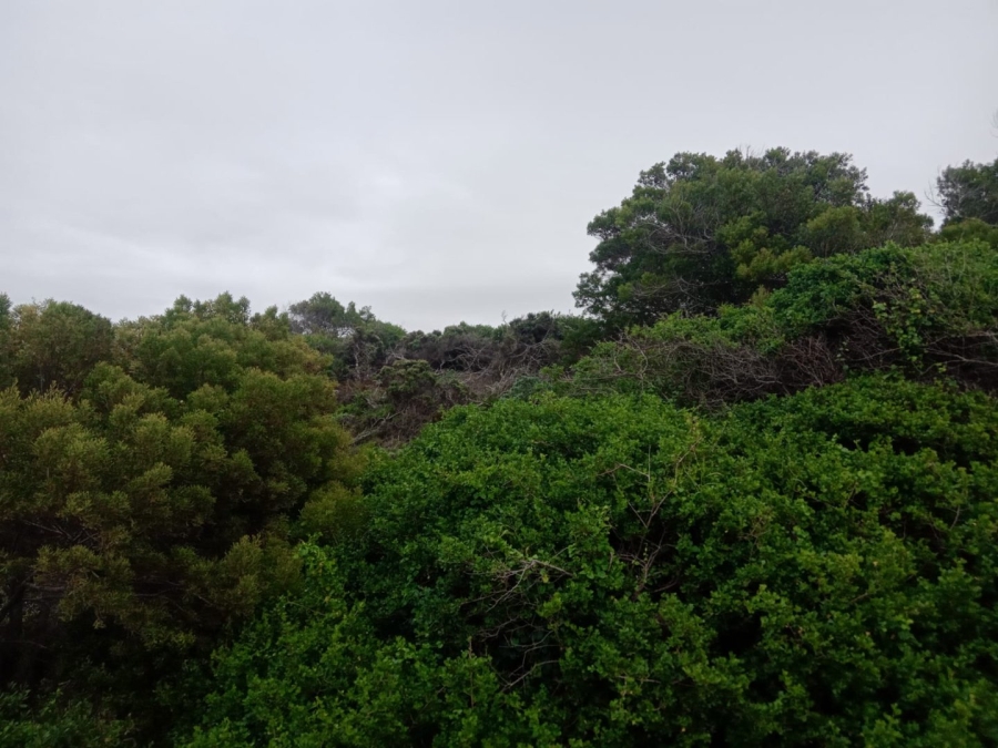 Commercial Property for Sale in Paradise Beach Eastern Cape